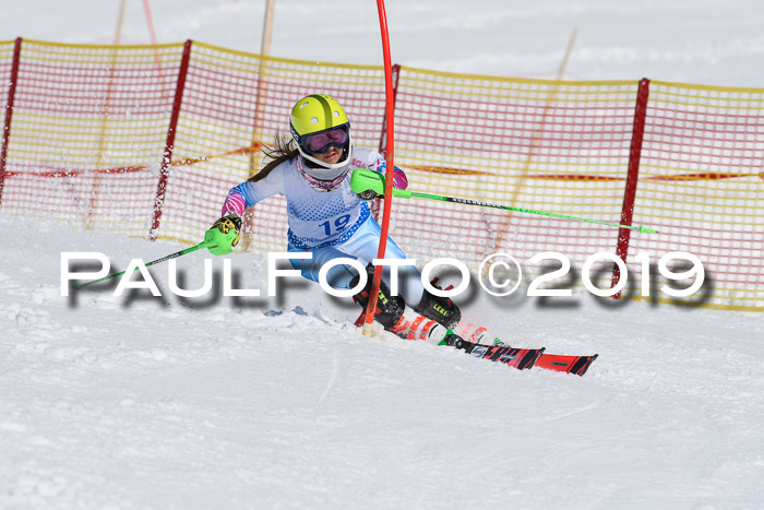 SVM U14/U16 Slalom 17.02.2019