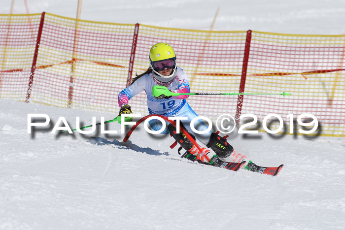 SVM U14/U16 Slalom 17.02.2019