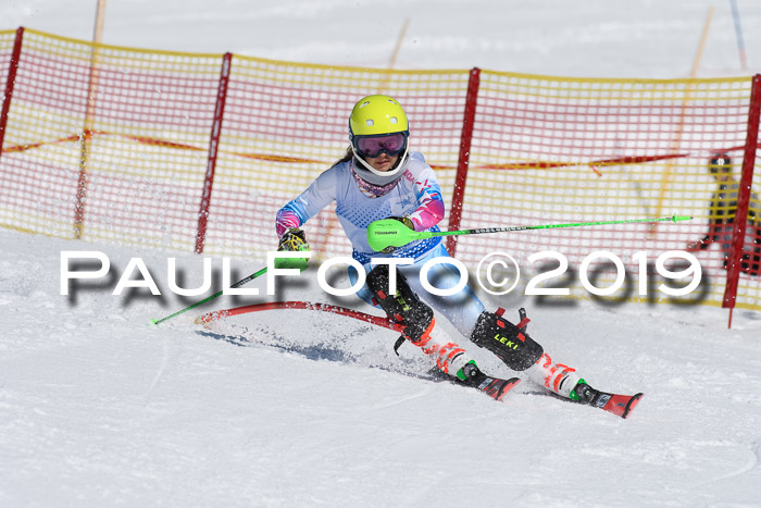 SVM U14/U16 Slalom 17.02.2019