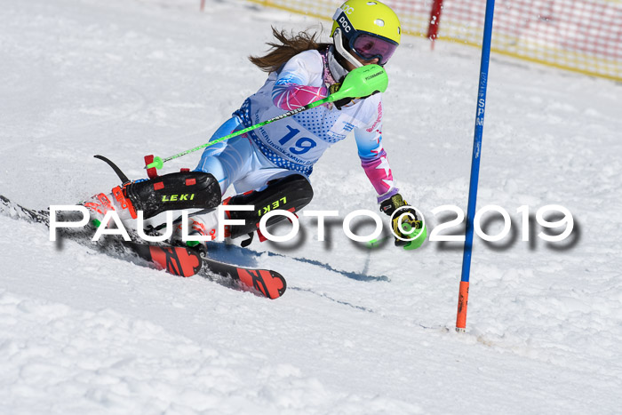 SVM U14/U16 Slalom 17.02.2019