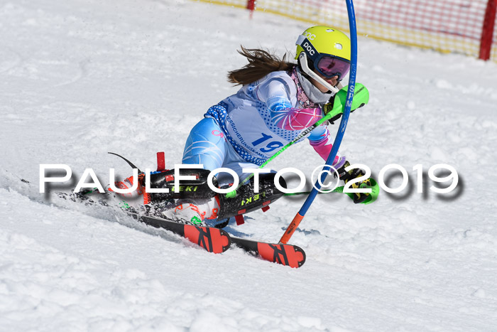 SVM U14/U16 Slalom 17.02.2019