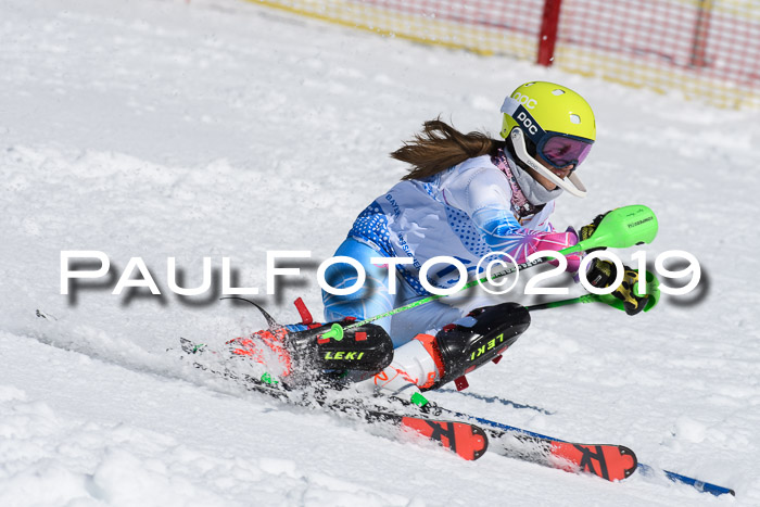 SVM U14/U16 Slalom 17.02.2019