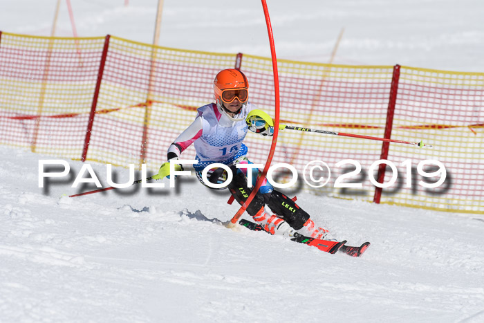 SVM U14/U16 Slalom 17.02.2019