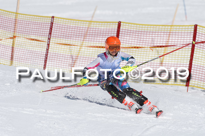 SVM U14/U16 Slalom 17.02.2019