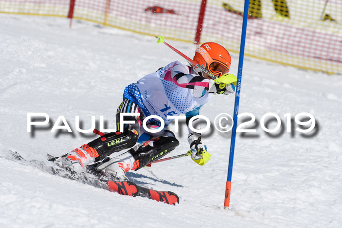 SVM U14/U16 Slalom 17.02.2019