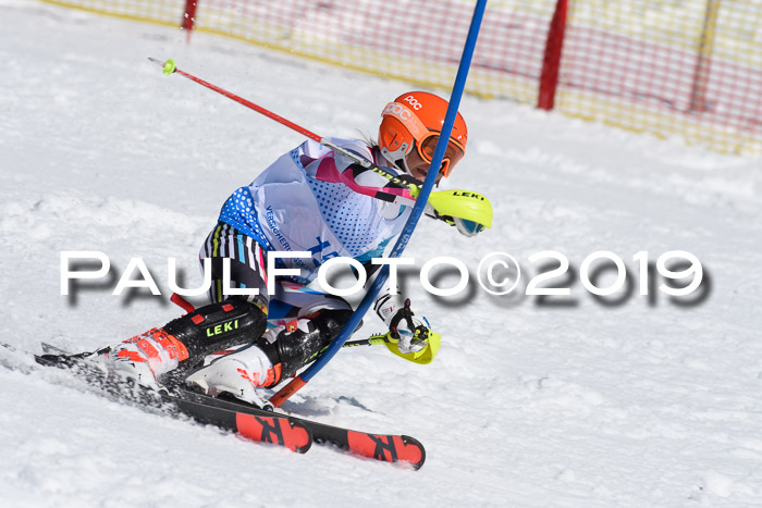 SVM U14/U16 Slalom 17.02.2019