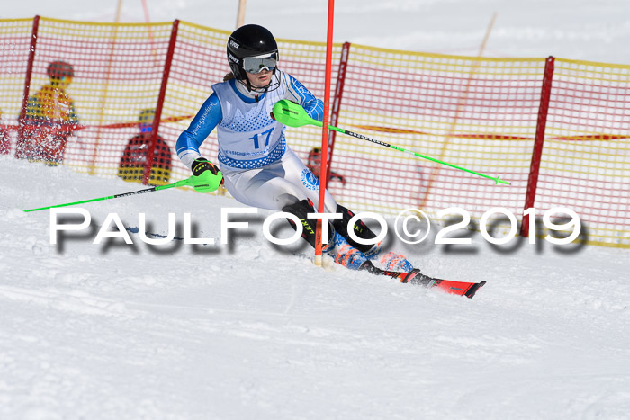 SVM U14/U16 Slalom 17.02.2019