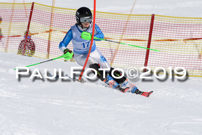 SVM U14/U16 Slalom 17.02.2019