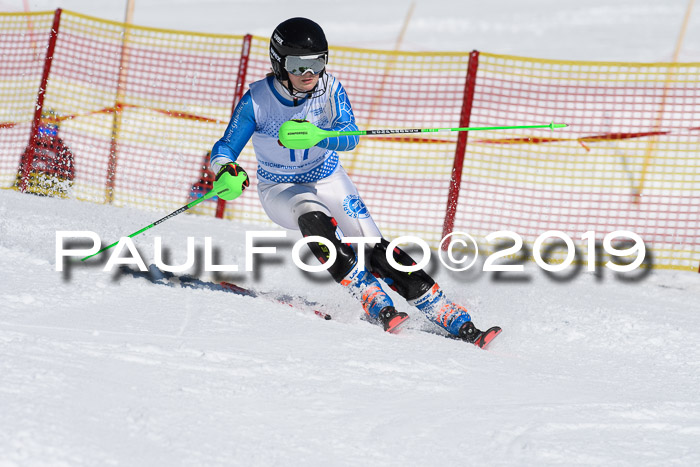 SVM U14/U16 Slalom 17.02.2019