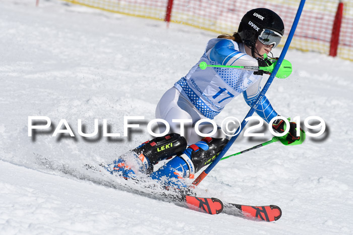 SVM U14/U16 Slalom 17.02.2019