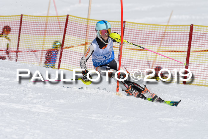 SVM U14/U16 Slalom 17.02.2019