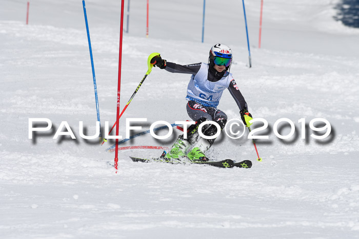 SVM U14/U16 Slalom 17.02.2019