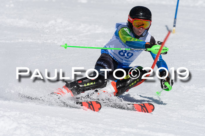 SVM U14/U16 Slalom 17.02.2019