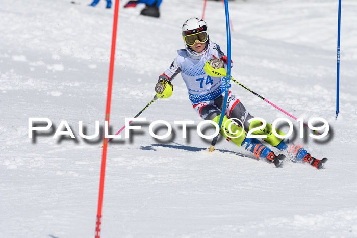 SVM U14/U16 Slalom 17.02.2019