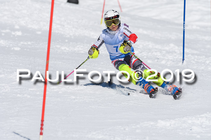 SVM U14/U16 Slalom 17.02.2019