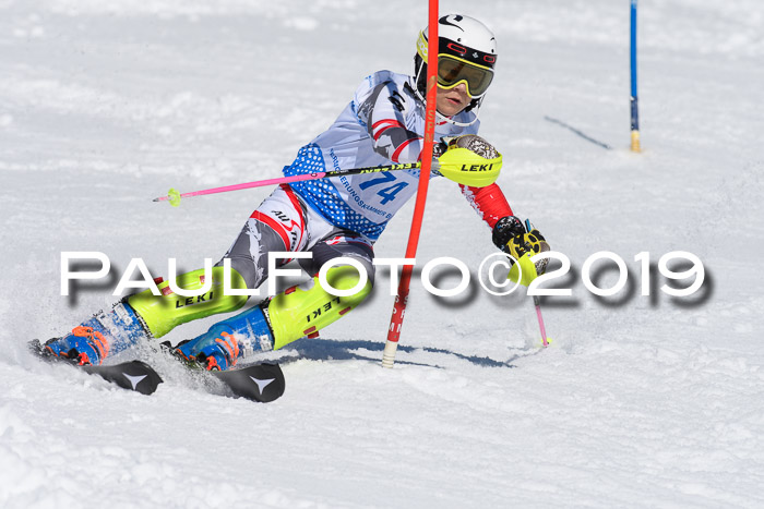 SVM U14/U16 Slalom 17.02.2019