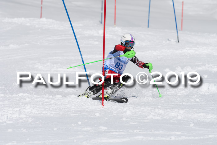 SVM U14/U16 Slalom 17.02.2019