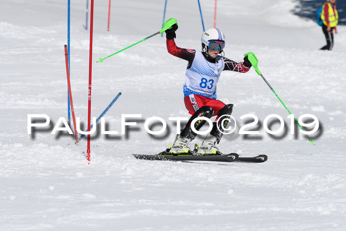 SVM U14/U16 Slalom 17.02.2019