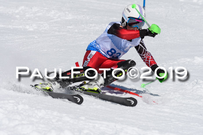 SVM U14/U16 Slalom 17.02.2019