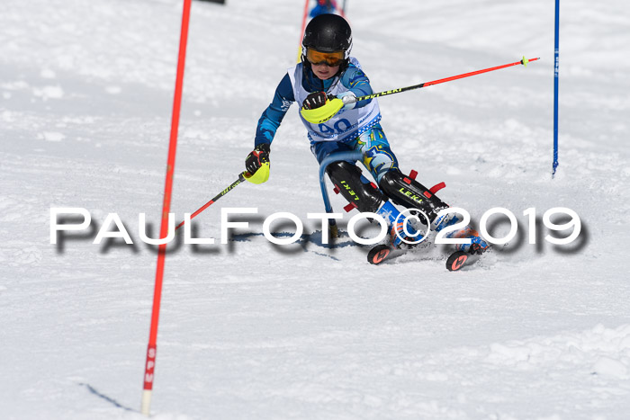 SVM U14/U16 Slalom 17.02.2019