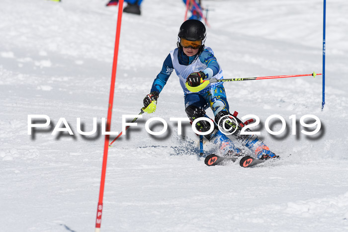 SVM U14/U16 Slalom 17.02.2019