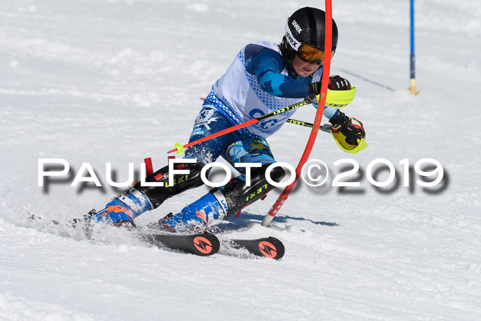 SVM U14/U16 Slalom 17.02.2019