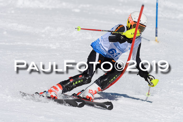 SVM U14/U16 Slalom 17.02.2019