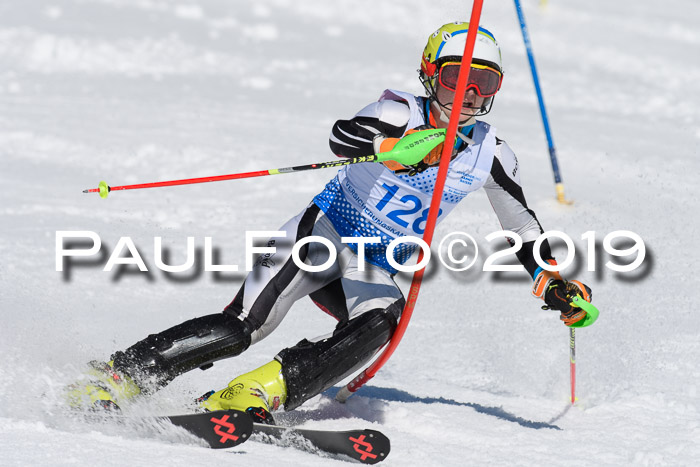 SVM U14/U16 Slalom 17.02.2019