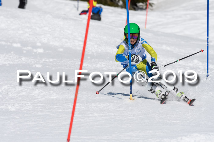 SVM U14/U16 Slalom 17.02.2019