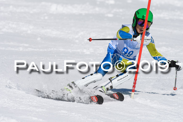 SVM U14/U16 Slalom 17.02.2019