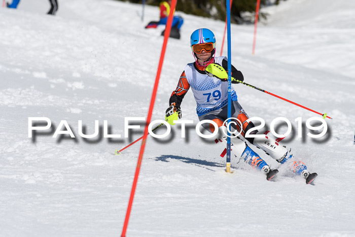 SVM U14/U16 Slalom 17.02.2019