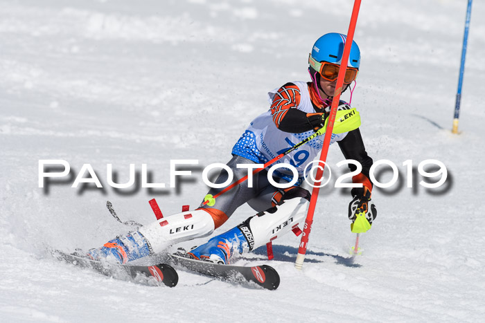 SVM U14/U16 Slalom 17.02.2019