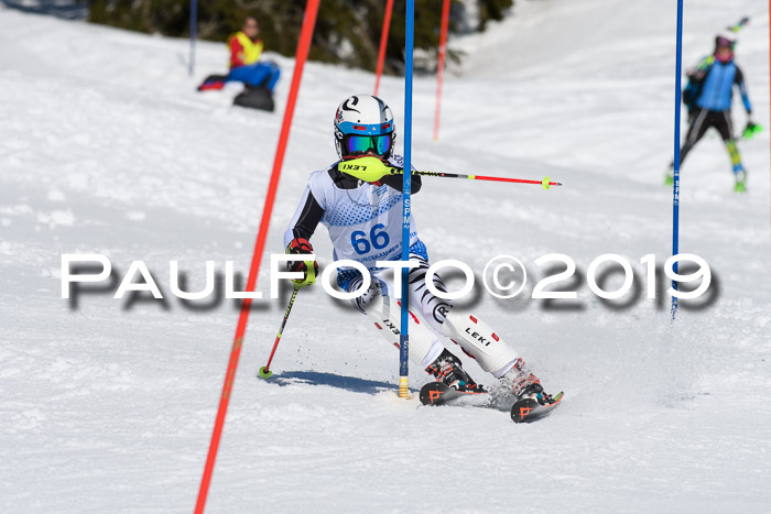 SVM U14/U16 Slalom 17.02.2019