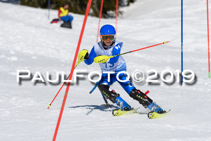 SVM U14/U16 Slalom 17.02.2019