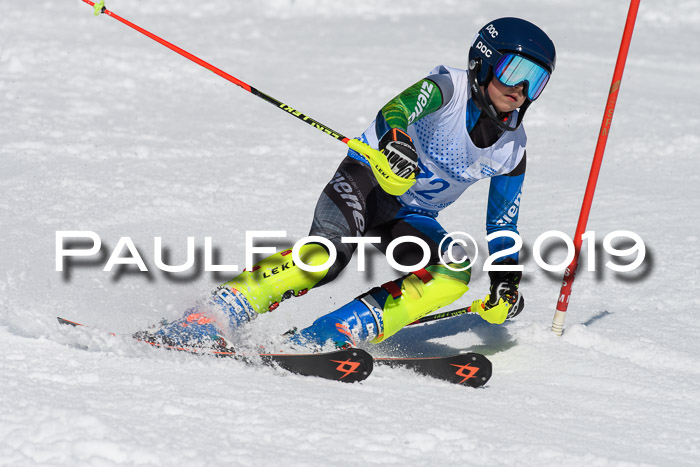 SVM U14/U16 Slalom 17.02.2019