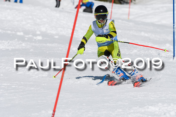 SVM U14/U16 Slalom 17.02.2019