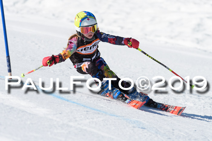 Ziener Cup WF, RS, 24.02.2019