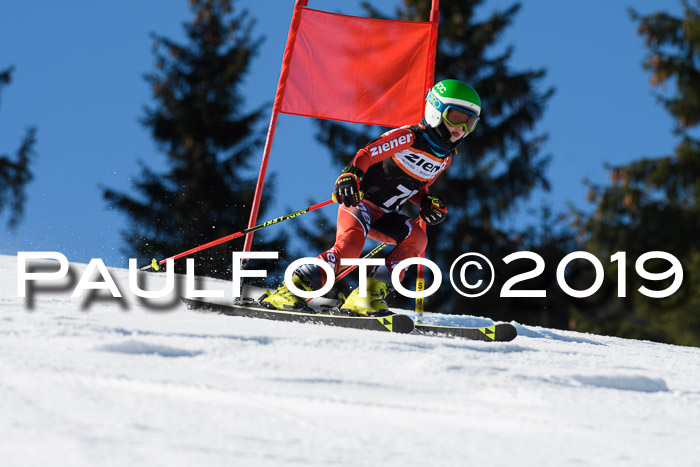 Ziener Cup WF, RS, 24.02.2019