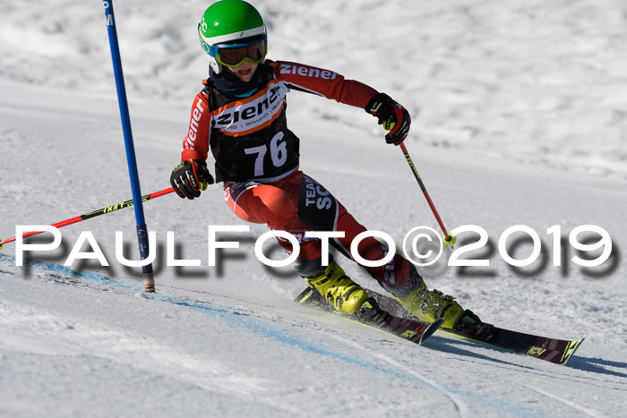 Ziener Cup WF, RS, 24.02.2019