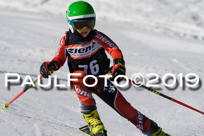 Ziener Cup WF, RS, 24.02.2019