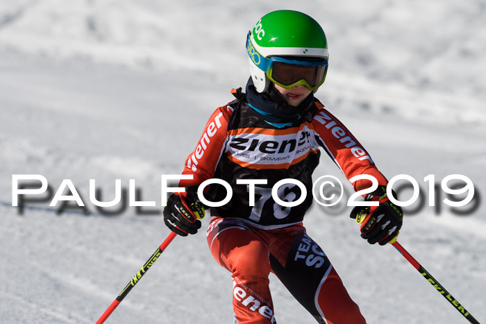 Ziener Cup WF, RS, 24.02.2019