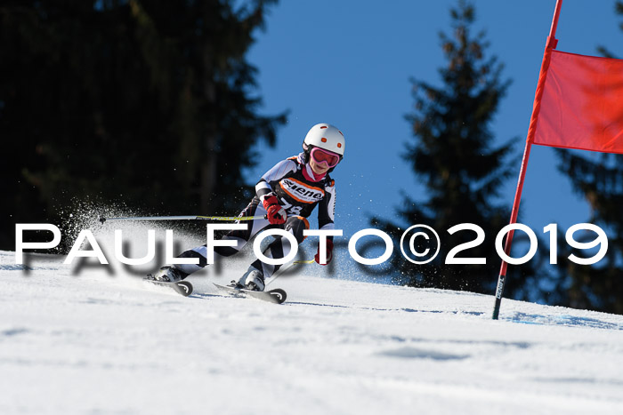 Ziener Cup WF, RS, 24.02.2019