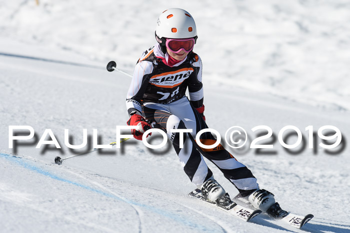 Ziener Cup WF, RS, 24.02.2019