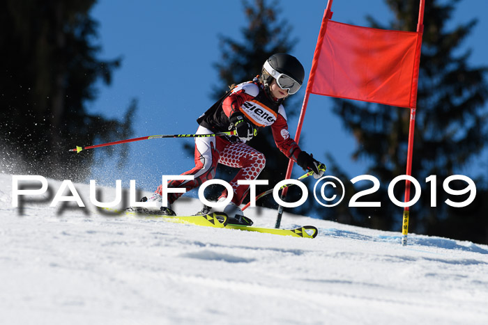 Ziener Cup WF, RS, 24.02.2019