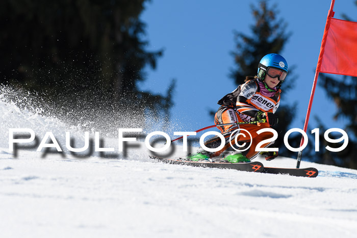 Ziener Cup WF, RS, 24.02.2019