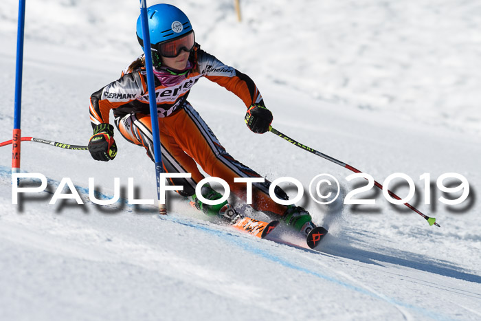 Ziener Cup WF, RS, 24.02.2019