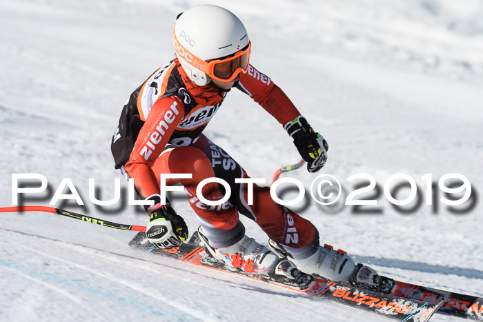 Ziener Cup WF, RS, 24.02.2019