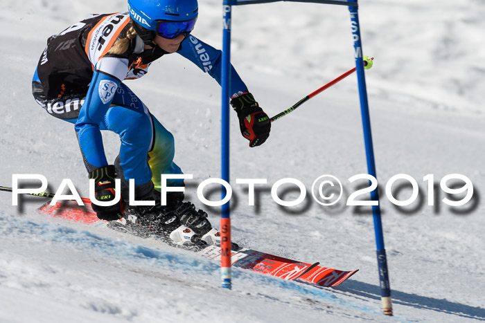 Ziener Cup WF, RS, 24.02.2019