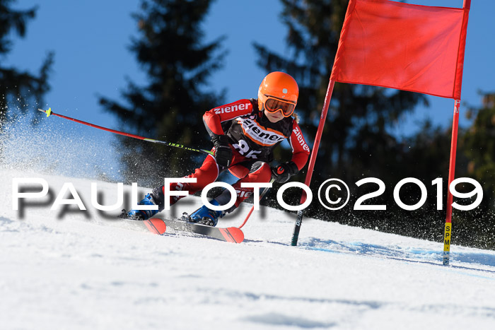 Ziener Cup WF, RS, 24.02.2019