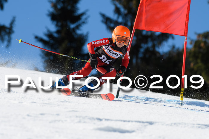 Ziener Cup WF, RS, 24.02.2019